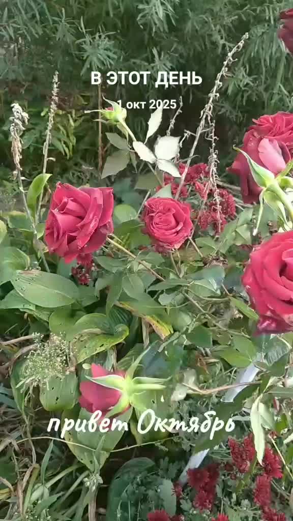 @Юрик