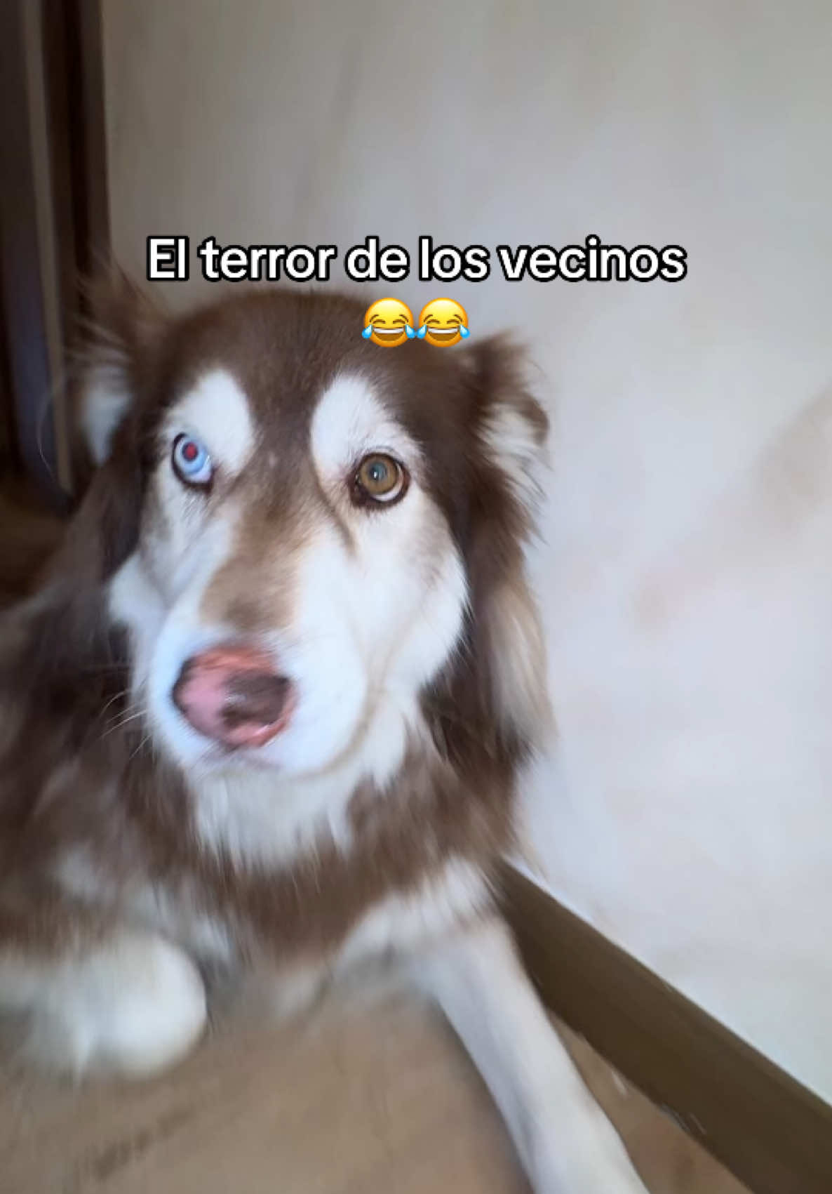 @soyzatt