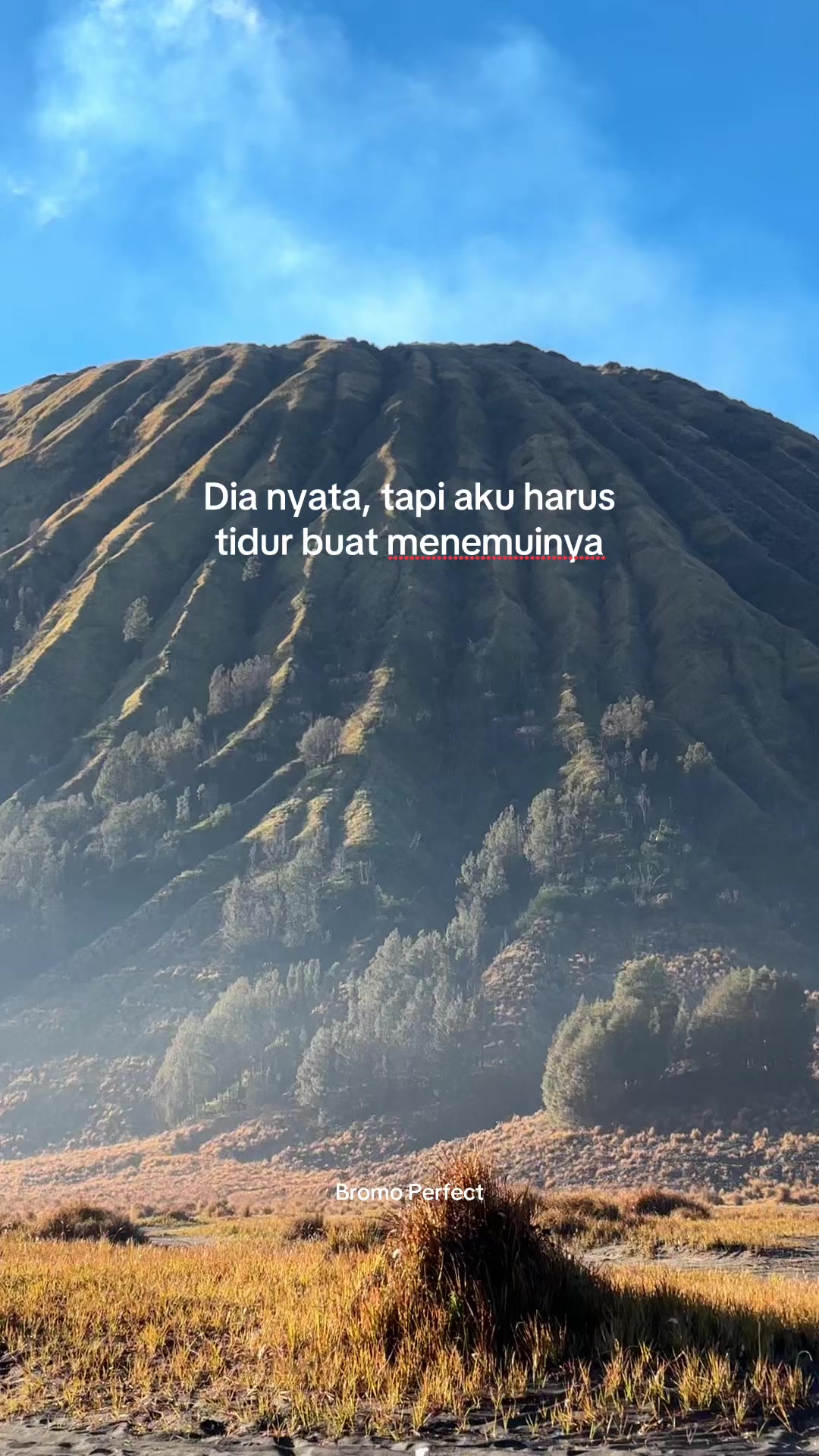 @Travel Bromo Probolinggo