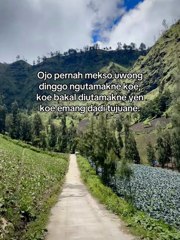@KAK VIQ
