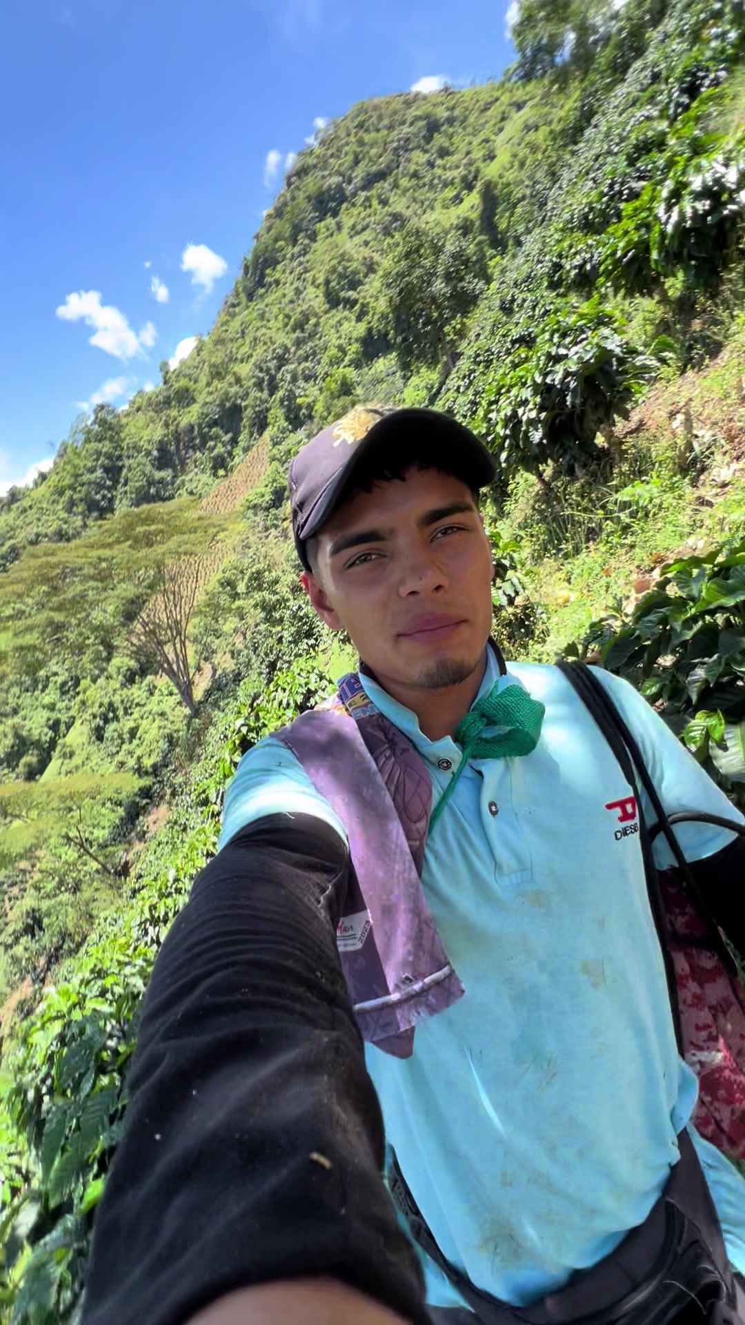 @Deimar