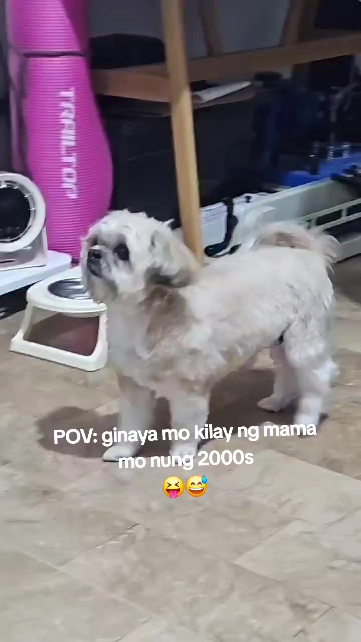 @nikikayyyy