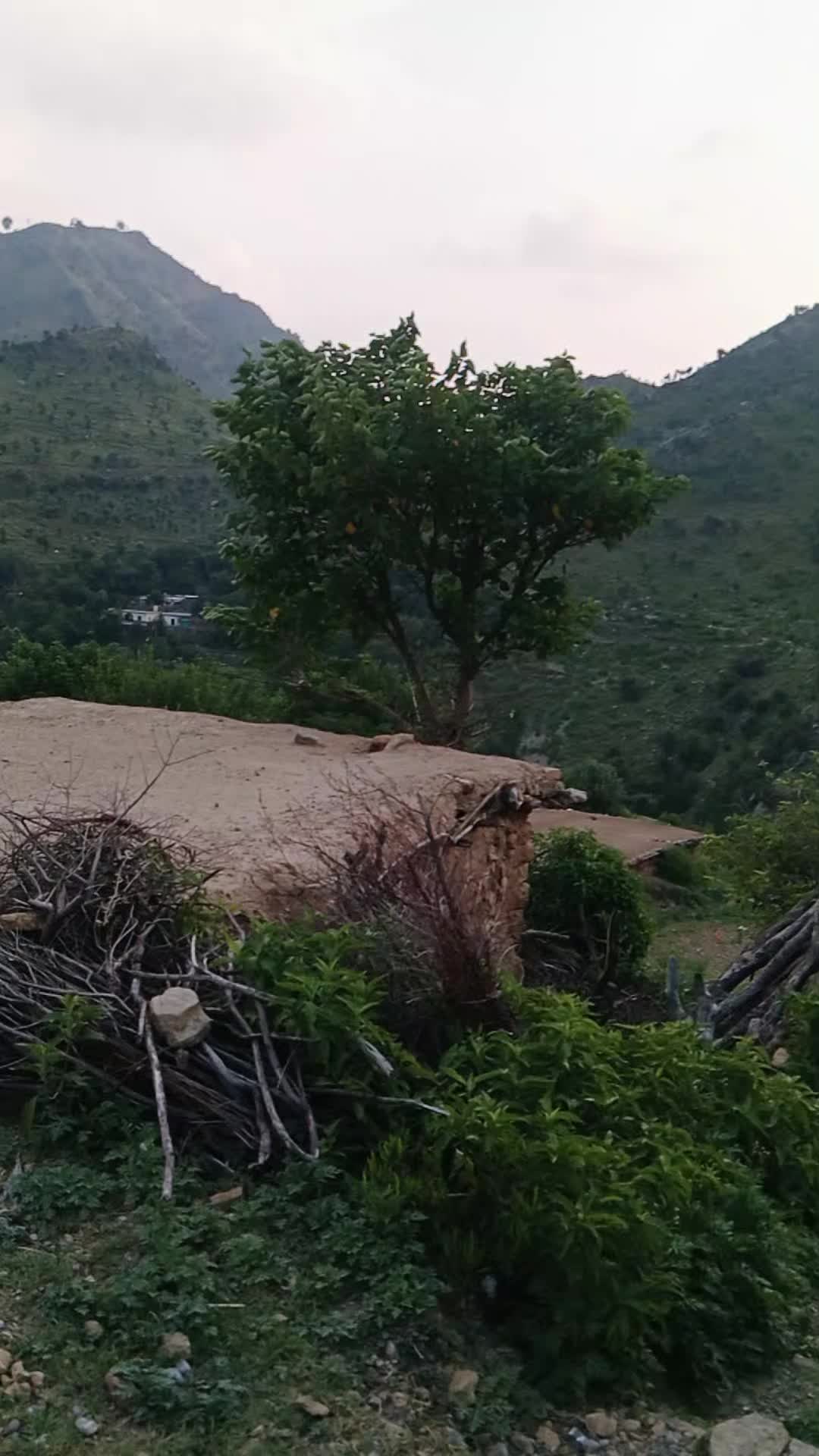 @Meh tab Ali