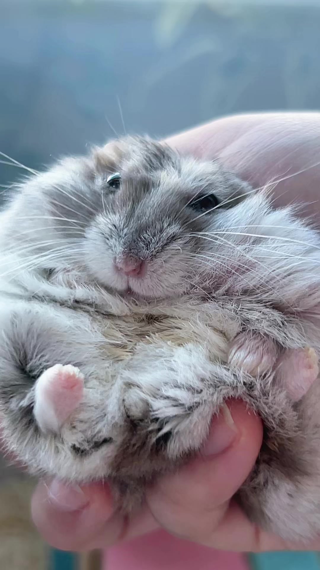 @𝒆𝒍𝒍𝒂✨