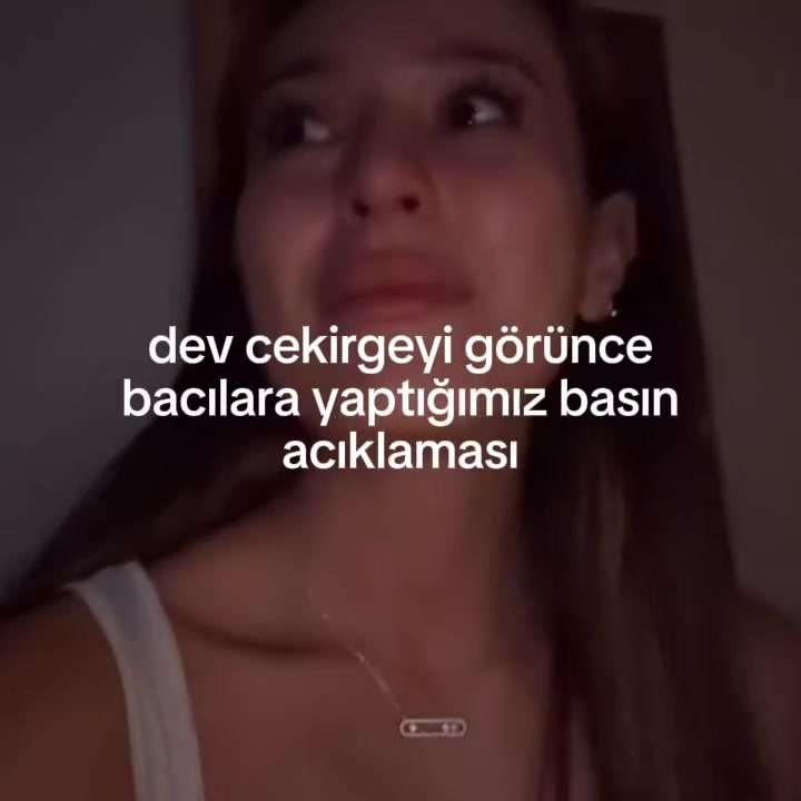 @Y.D