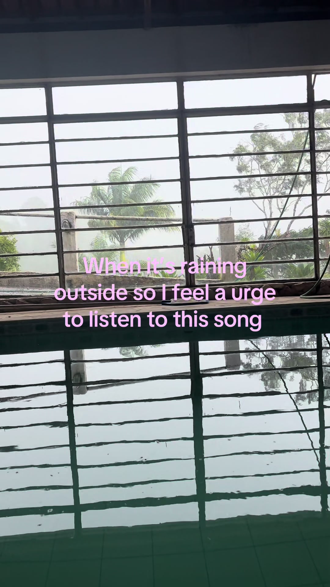 @Lia