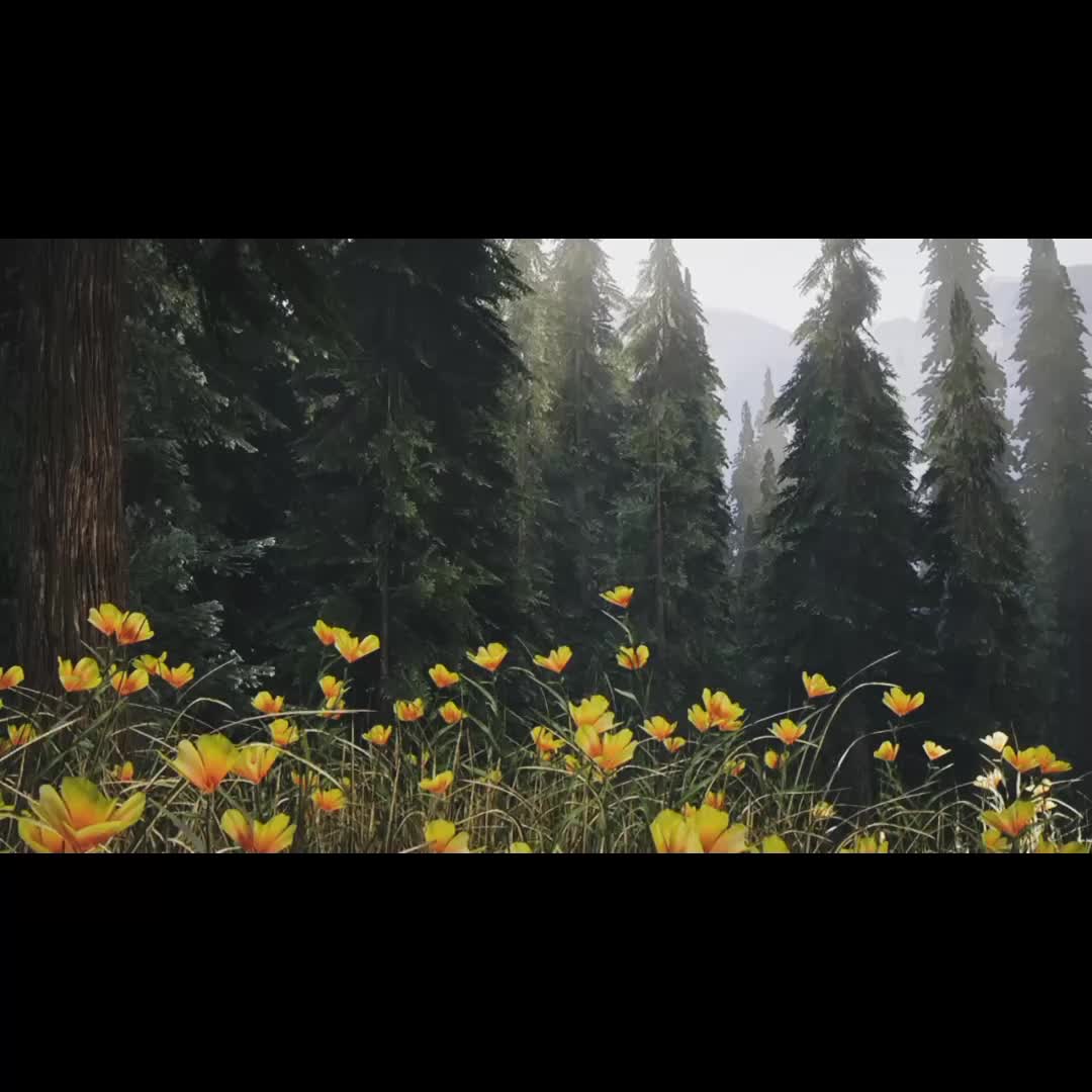 @ذكريات الزمن الجميل