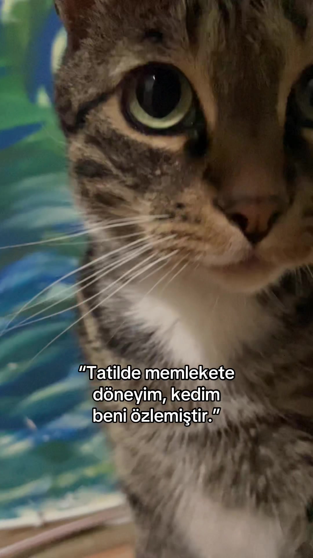 @Biressam