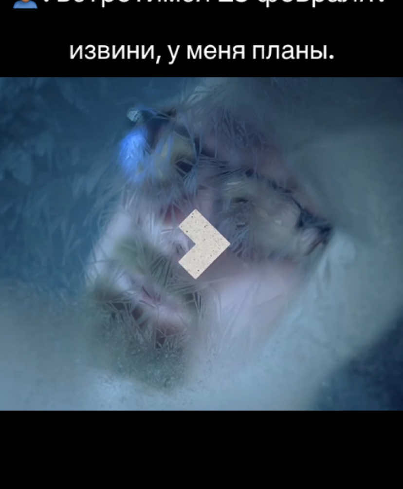 @FINEK