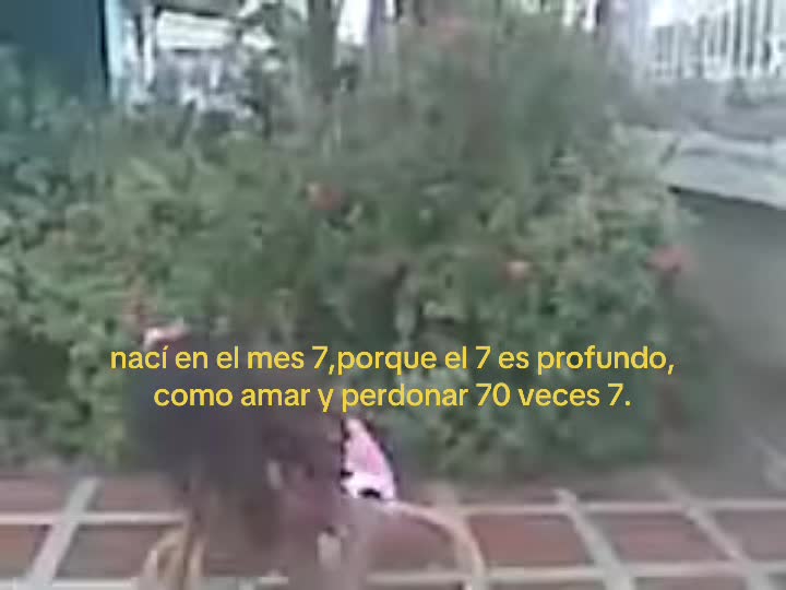 @pau