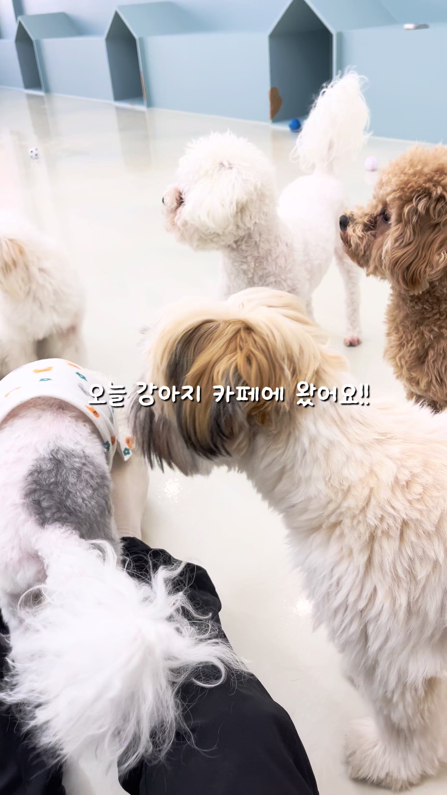 @쏭아로그