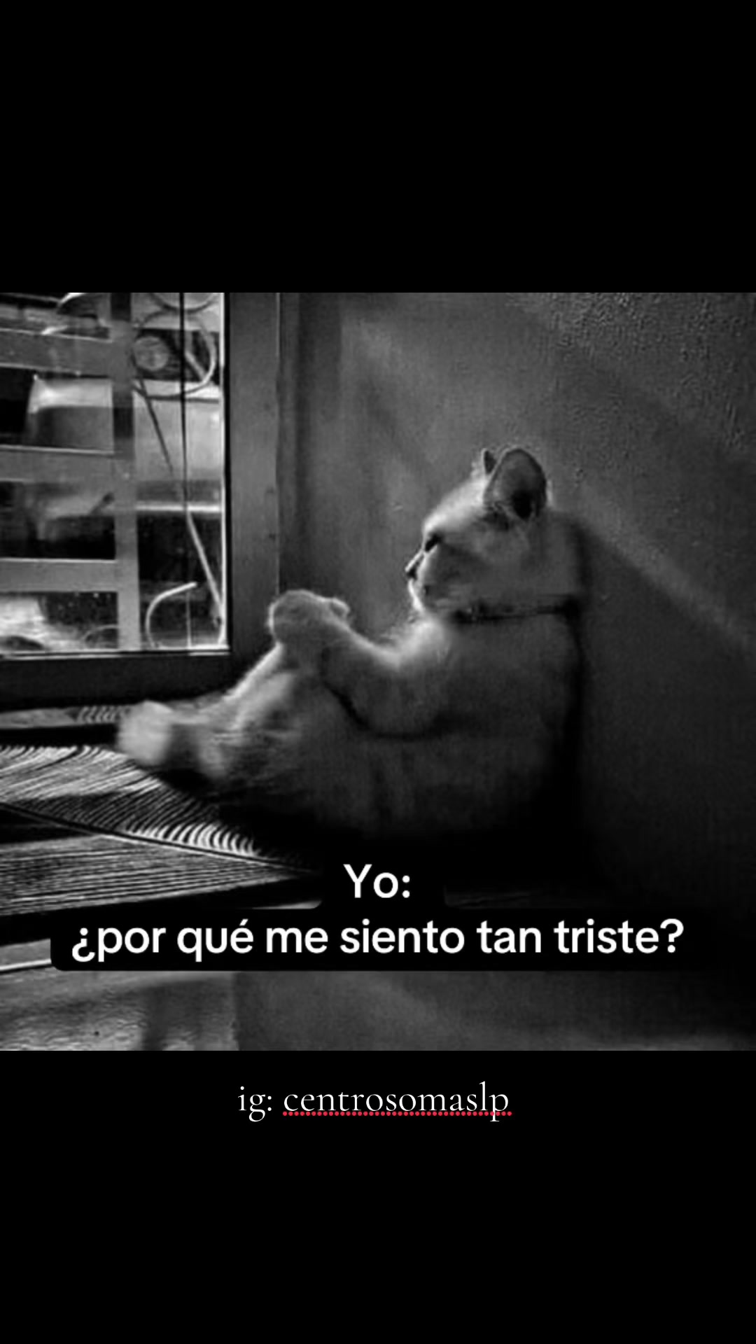 @Centro Soma