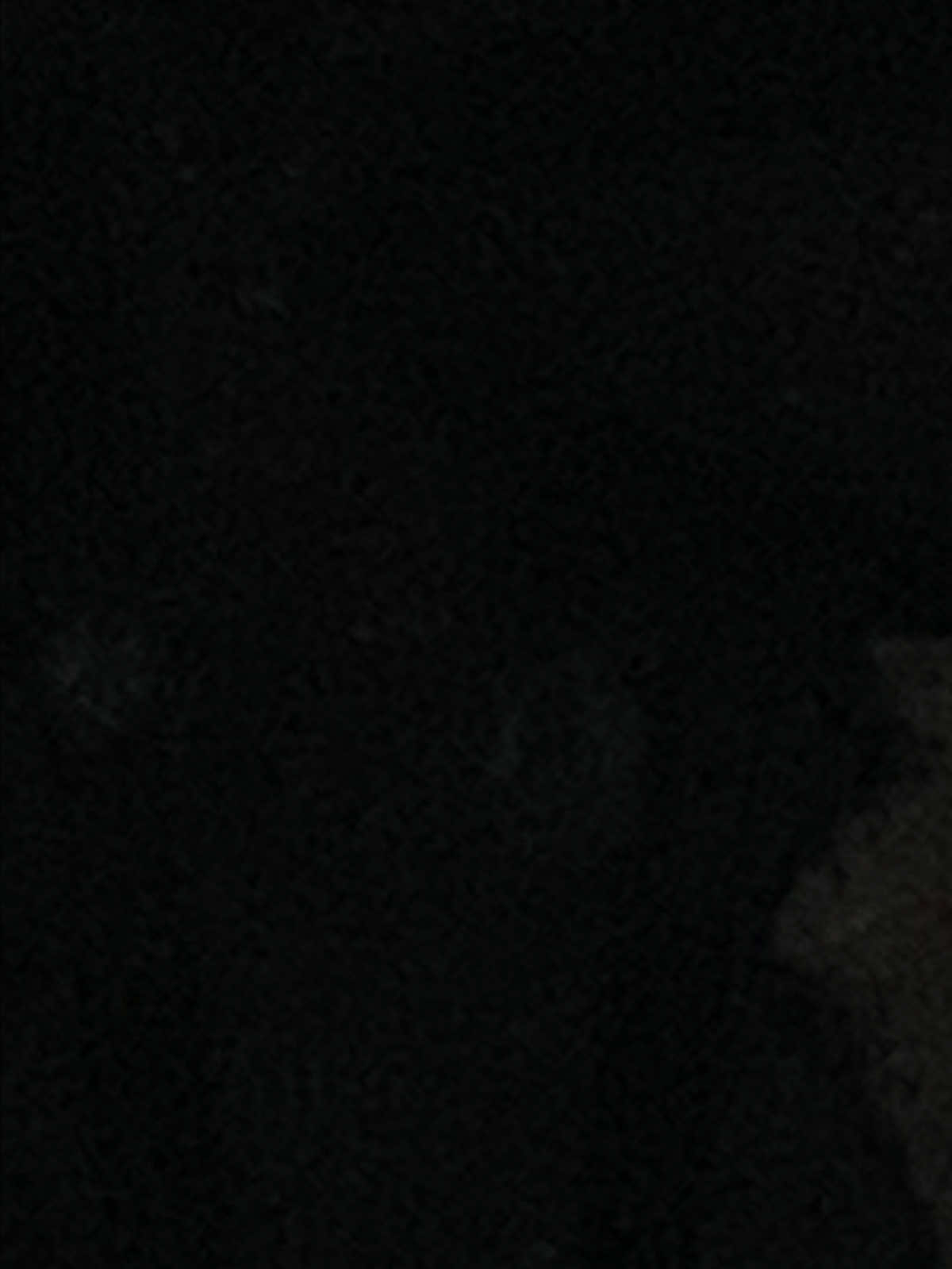 @𝐋