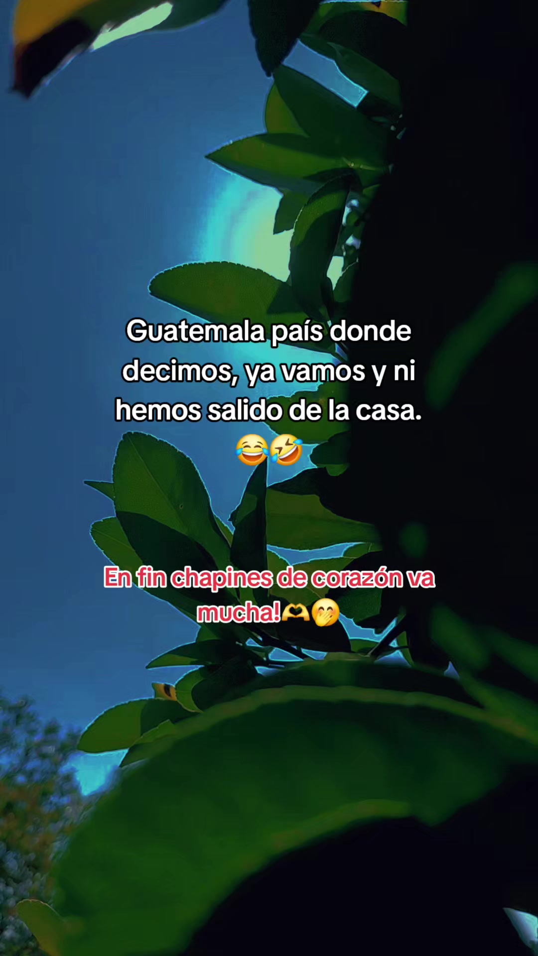 @☦️Solitario Oficial ✝️🥁🙌