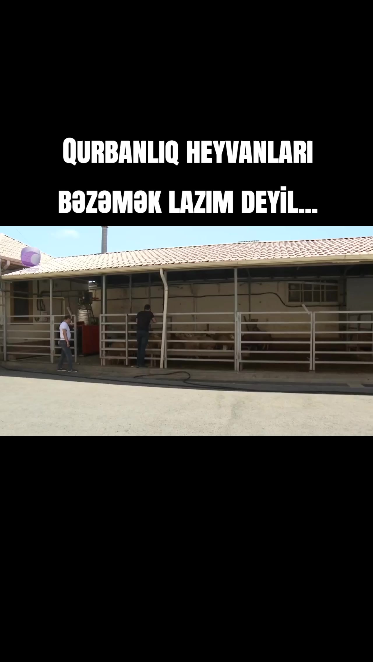@Tural İRFAN