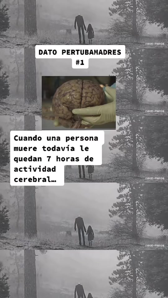 @datos.perturbamadres