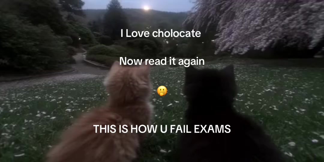 @Mavern Lia