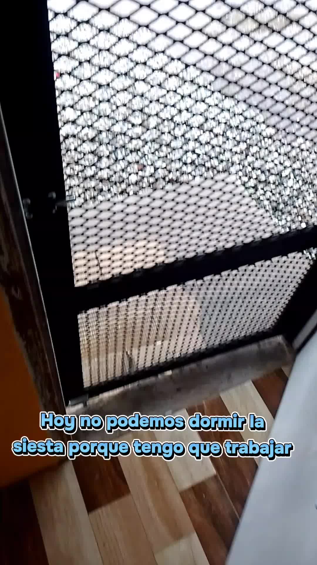 @Bibi 💙🇦🇷