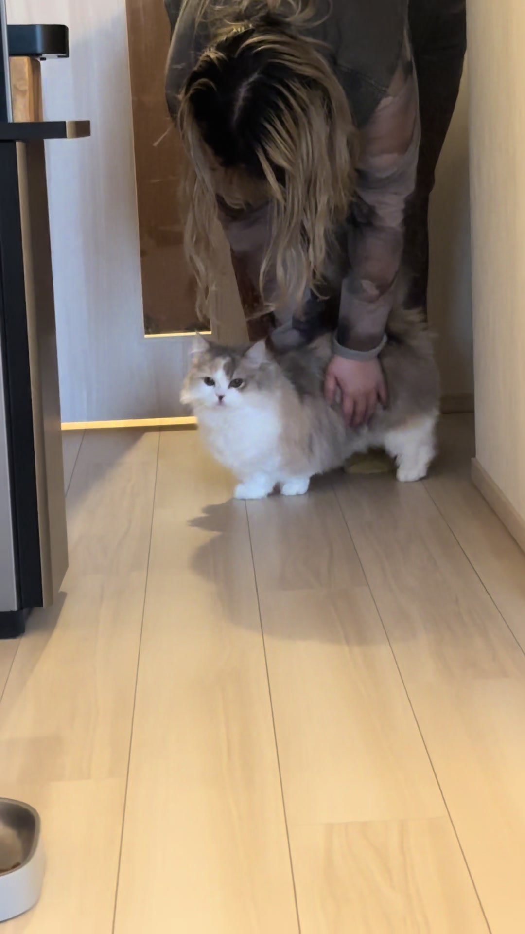 @ややとゆゆ