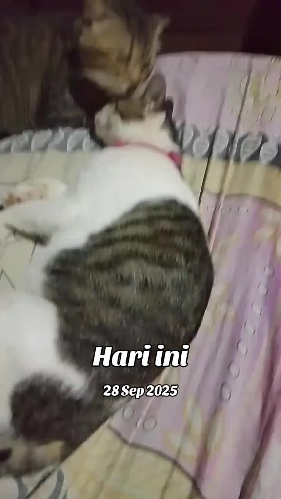 @AISYAH SAMARINDA99