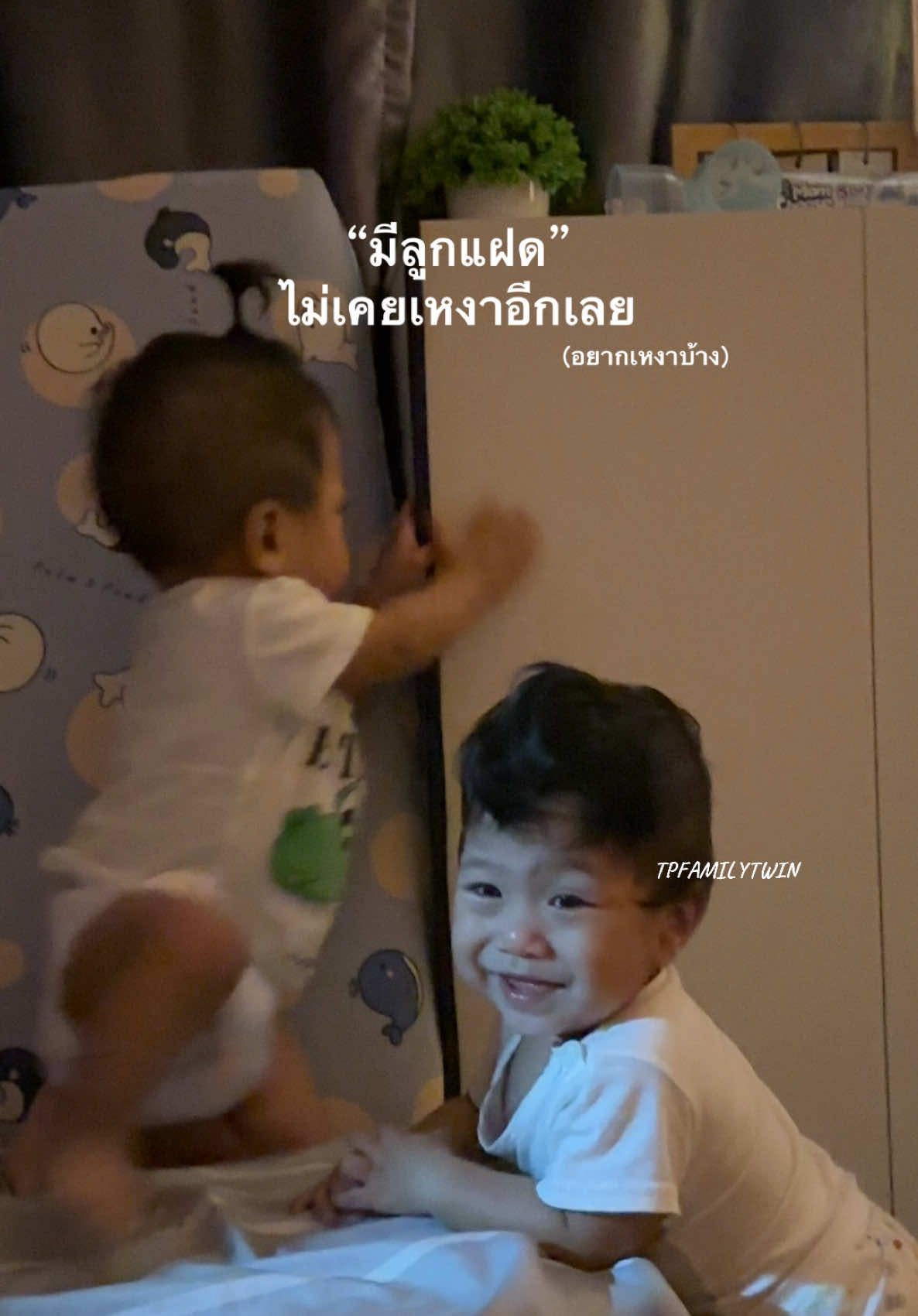 @TP FAMILY TWIN