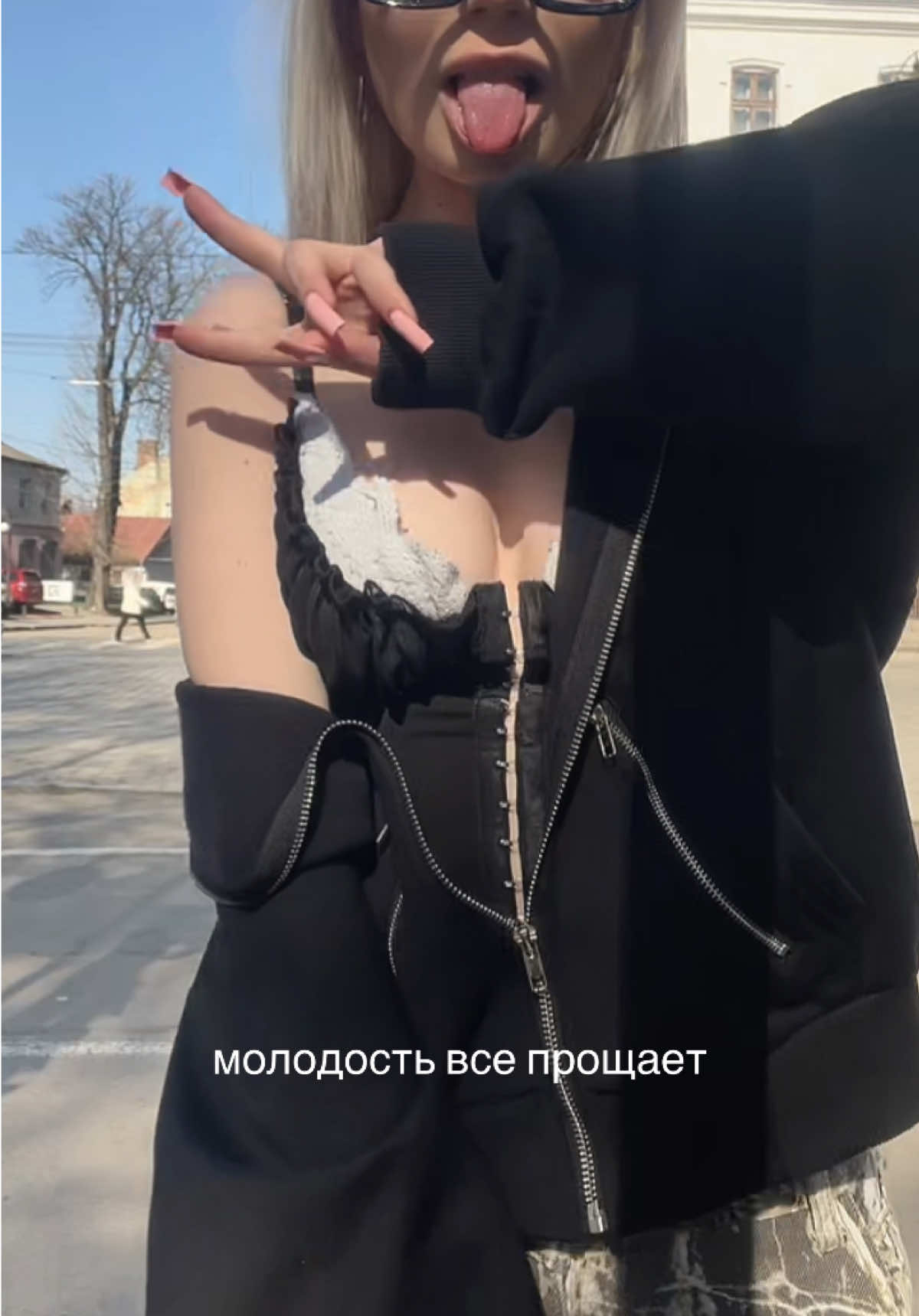 @чихуахуа