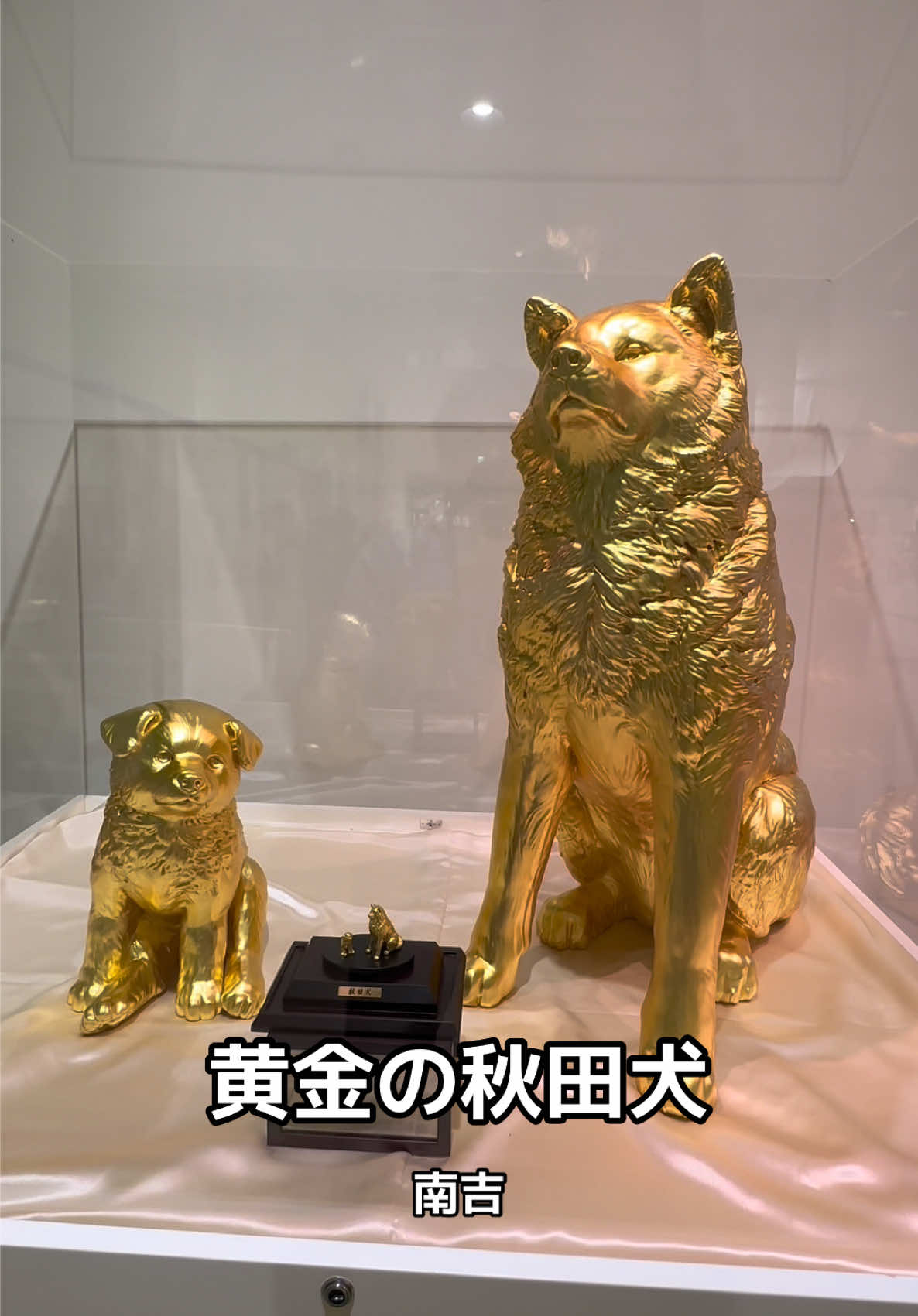 @モミゴンJK&南吉