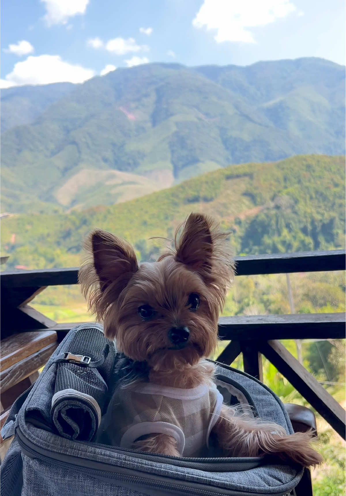 @พี่ขุงขิง & น้องโคโค่ 🐶💕