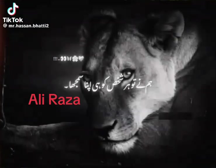 @AliRaza Awan