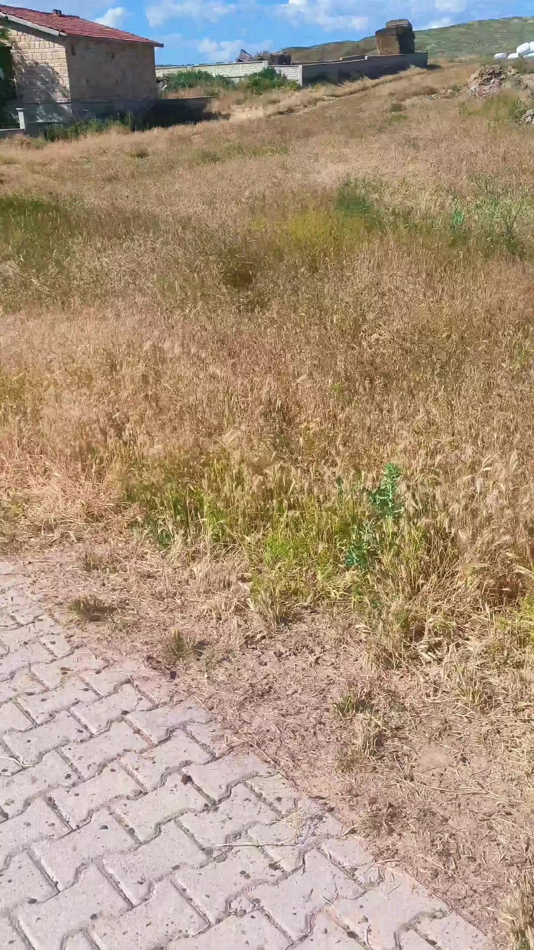 @🔗Aslan🕊️Öztürk🔗