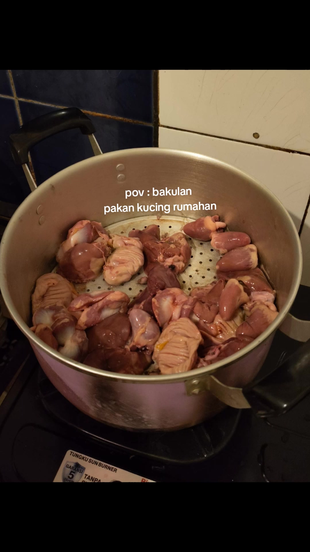 @JavelinMo