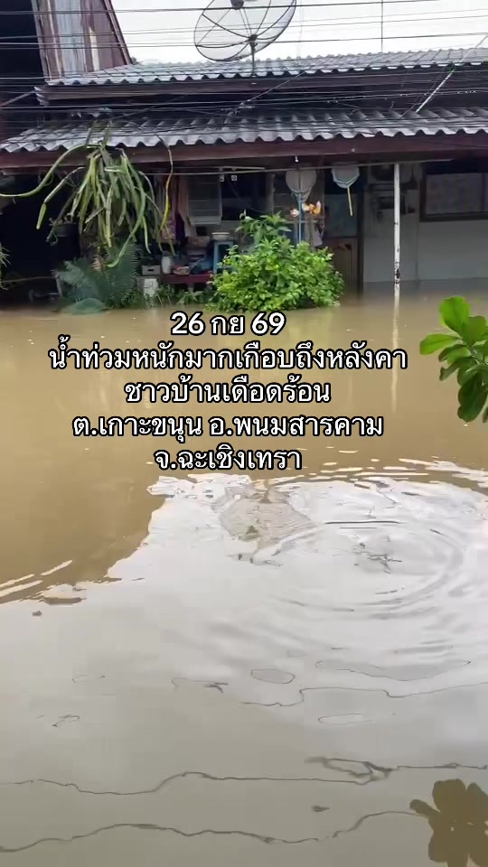 @ต้นอ้อที่ชอบรีวิว