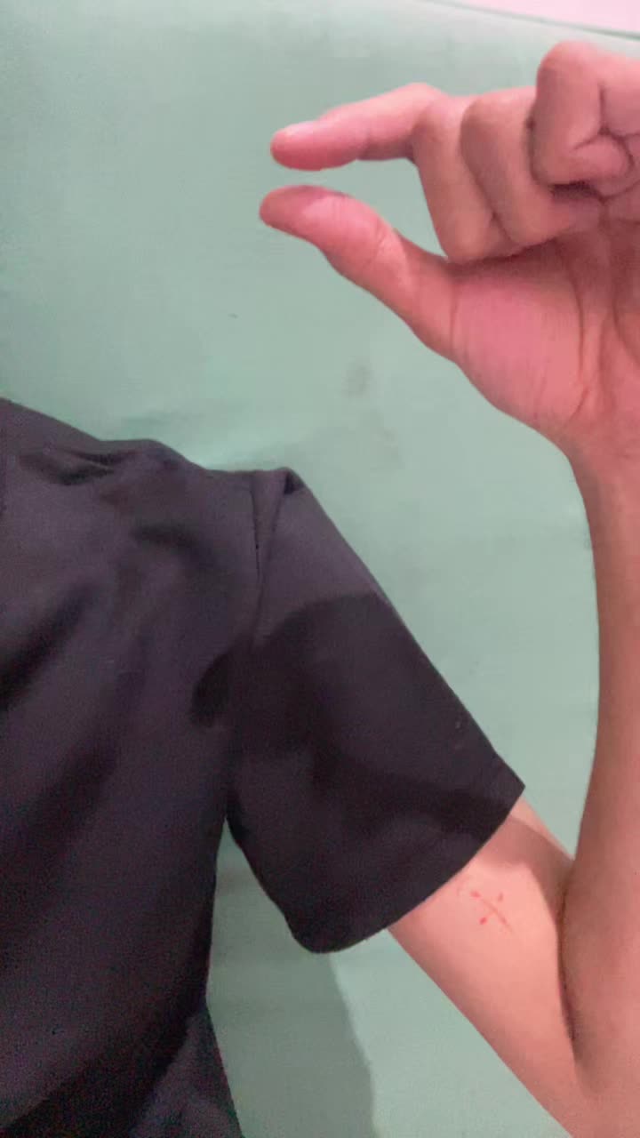 @zixed