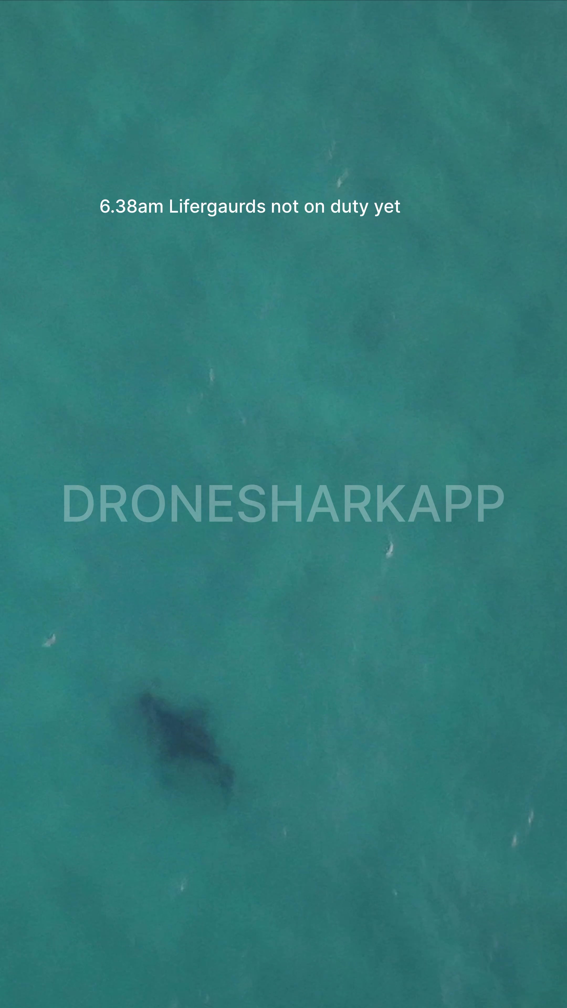 @Dronesharkapp