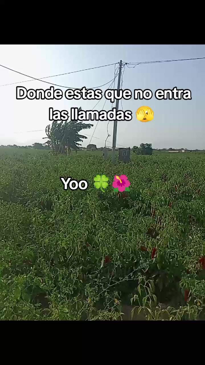 @🩷Yahaira Alejandria 🌸