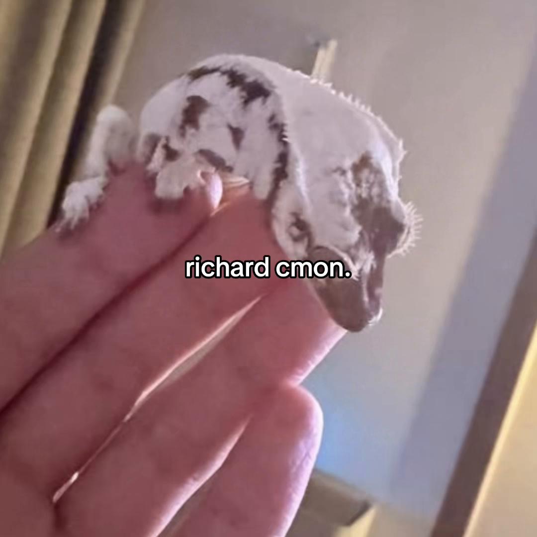@min ꩜