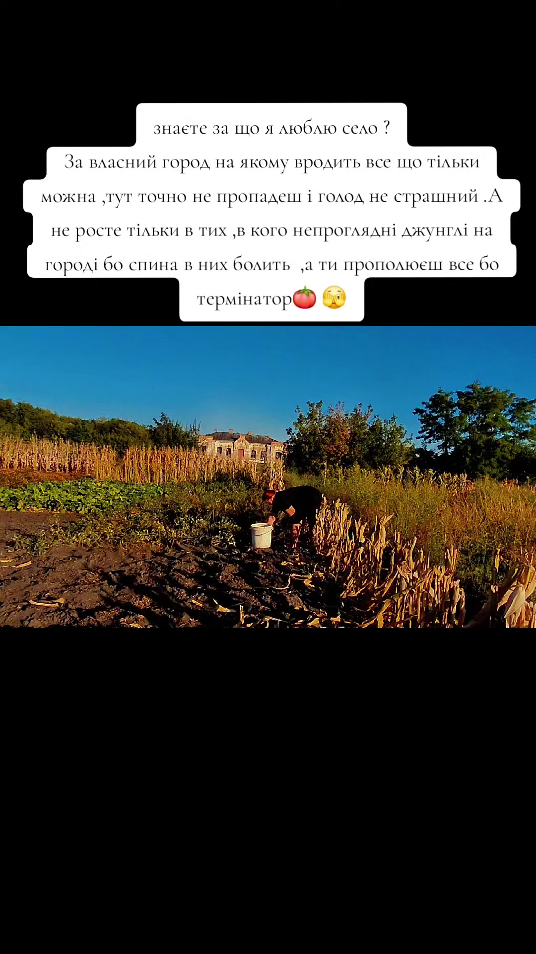 @Ластівка 🕊