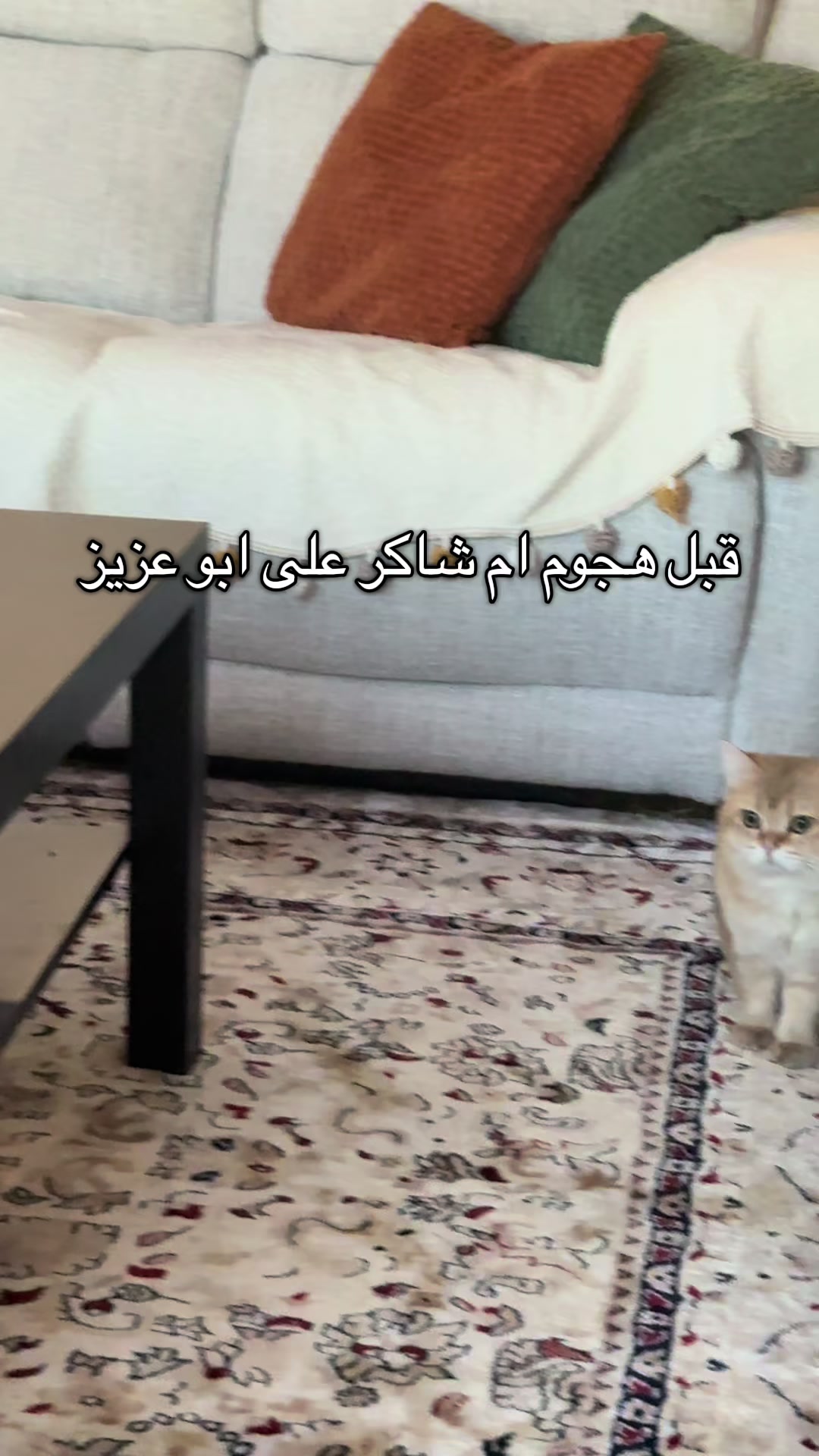 @الديموزيل ✨