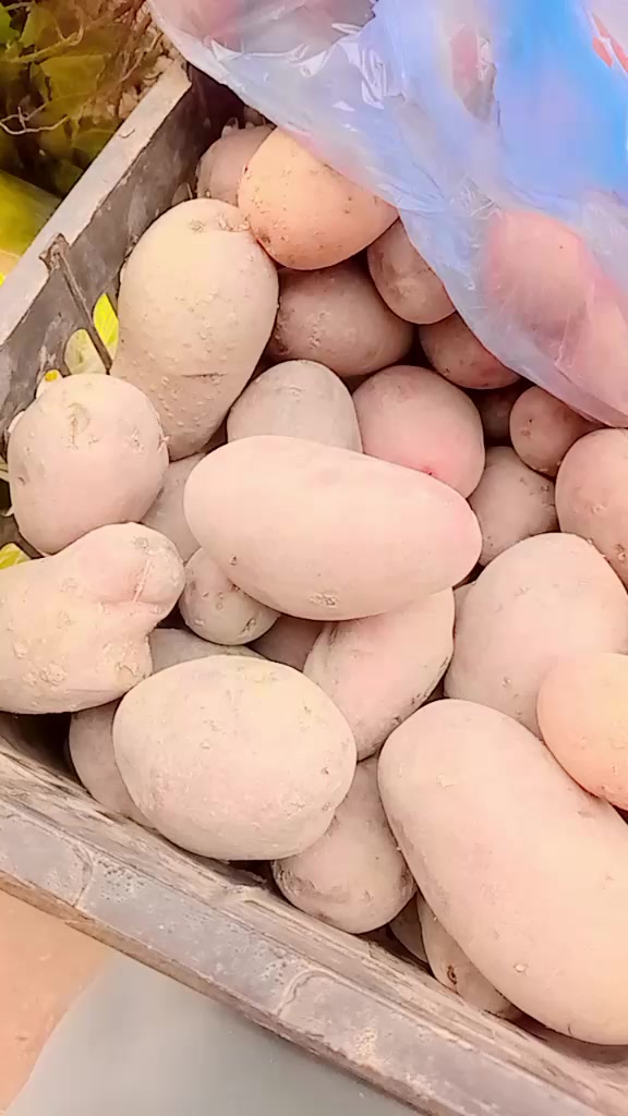 @irfan8003