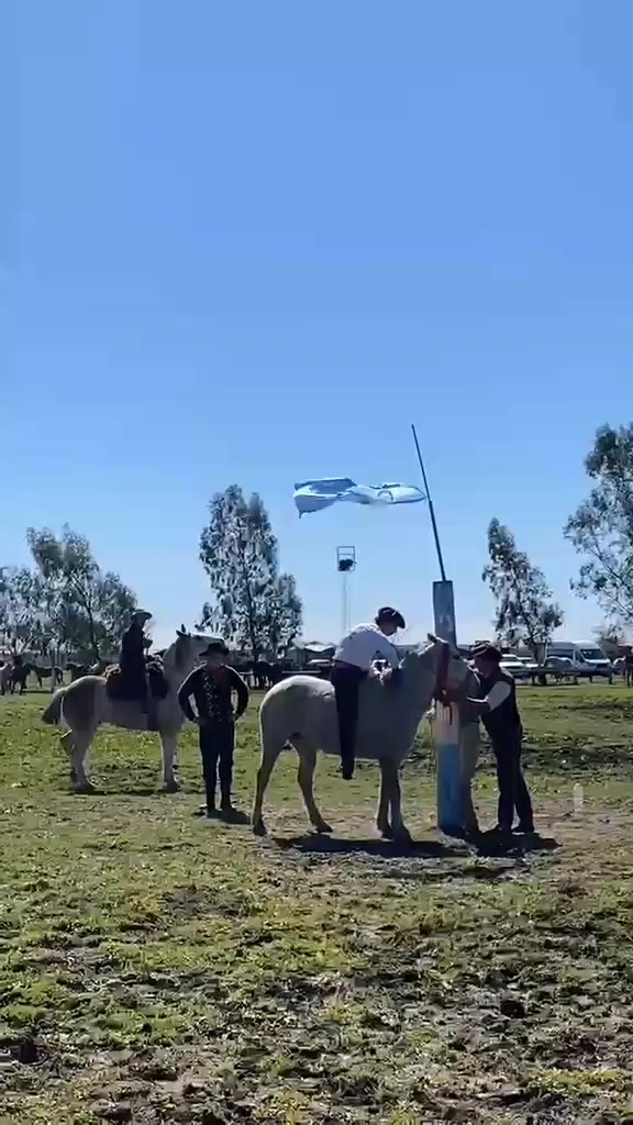 @francogonza