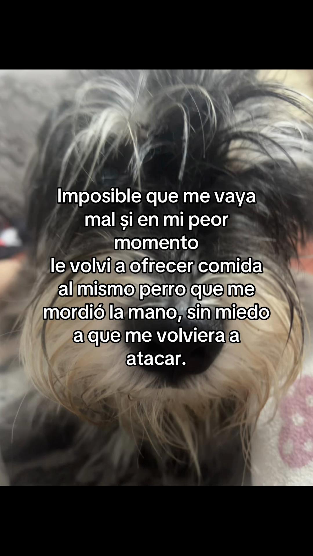 @Music🎙️