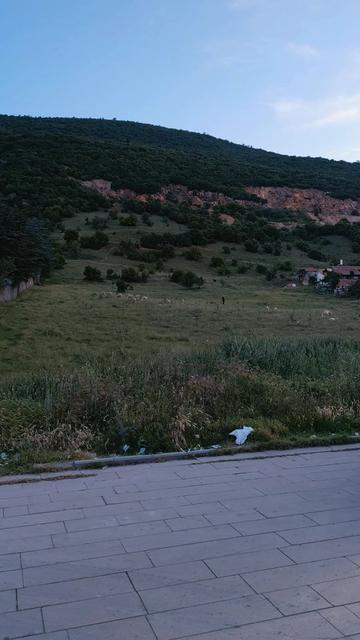 @Adnan Pişken