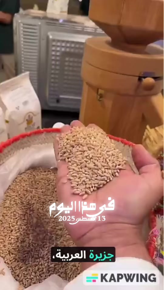 @نجم | مخابزكو الأولى