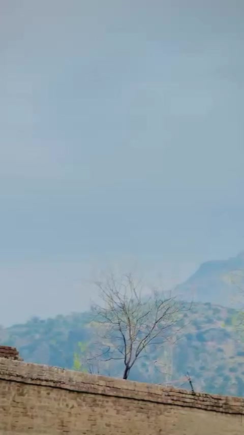 @BaGhii🥷☝️🚫