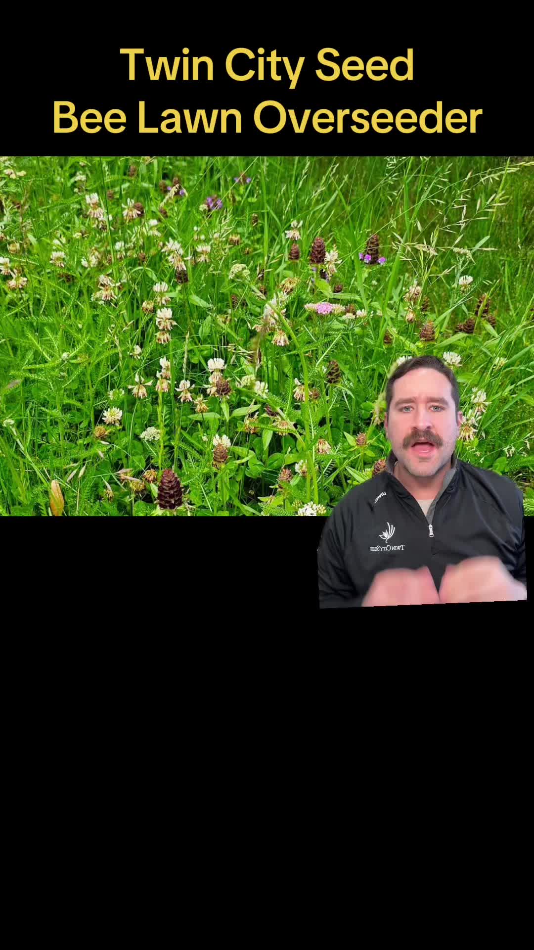 @Twincityseed
