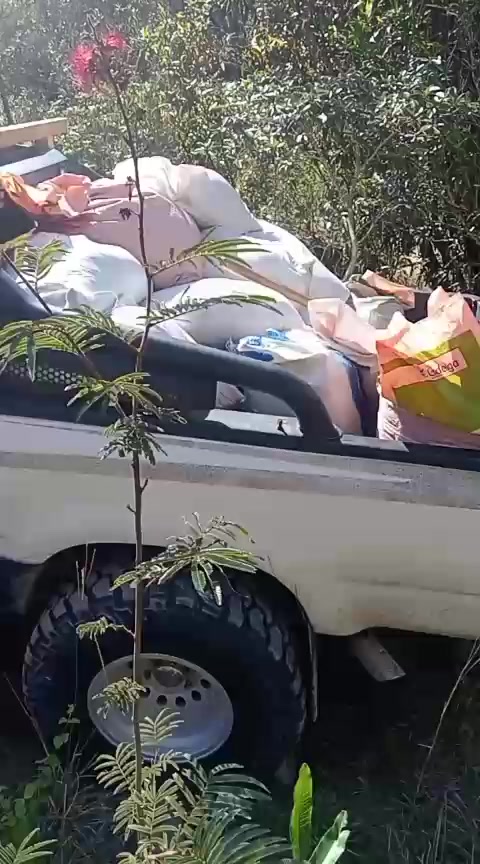 @Carmen