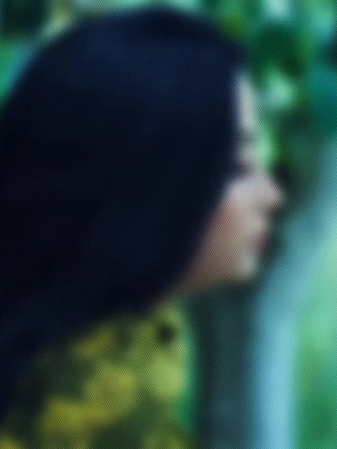 @নজরুল 🪴
