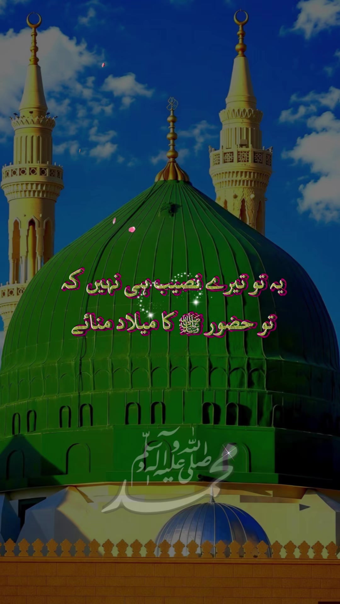 @madinamunawar7