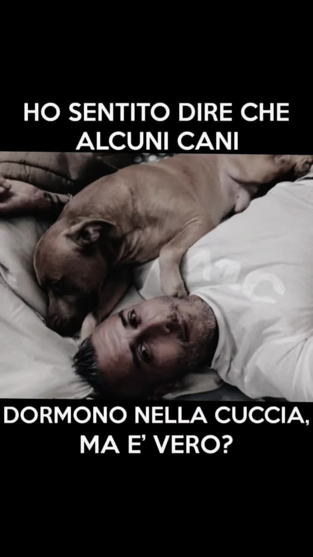 @DAVIDE