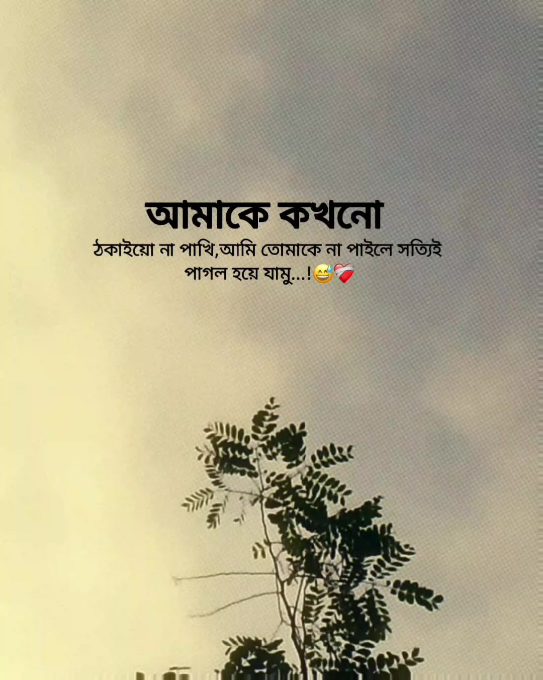 @Rakib Khan